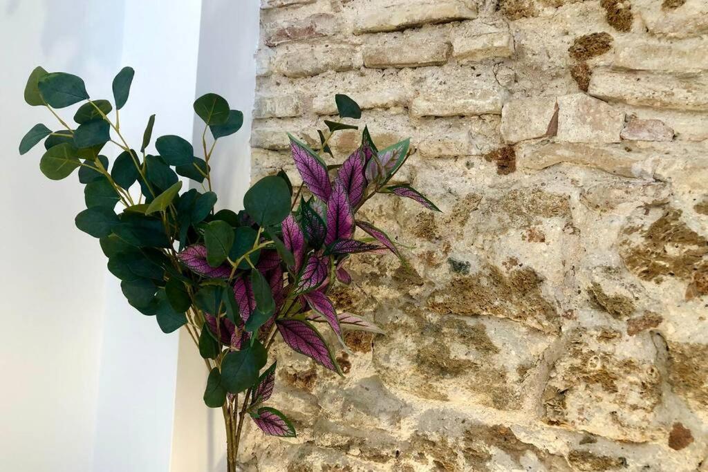 Gatu Premium Villa Libertad, Preferente Mayores De 25 Anos Y Familias Cádiz Exterior foto